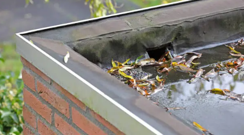 The Value of Roof Audits: Data-Driven Insights to Maximize ROI